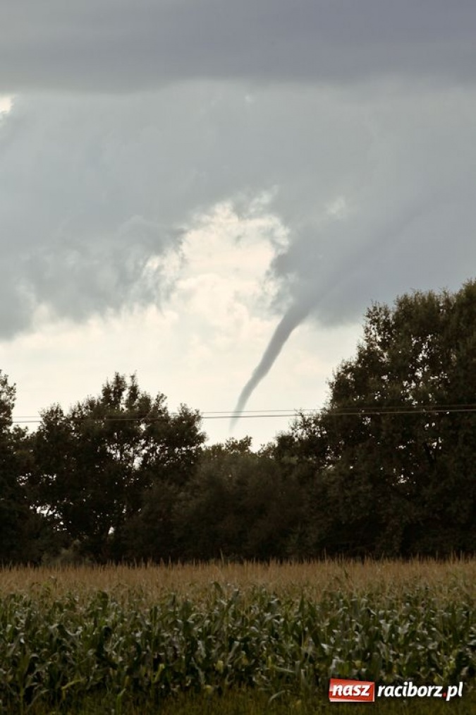 Zdjęcie w galerii na portalu naszraciborz.pl: Rzadko obserwowane zjawisko wiadomości z regionu