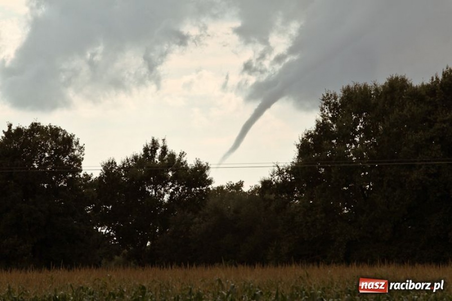 Zdjęcie w galerii na portalu naszraciborz.pl: Rzadko obserwowane zjawisko wiadomości z regionu