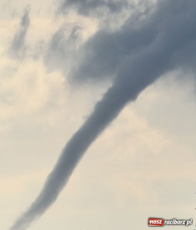 Zdjęcie w galerii na portalu naszraciborz.pl: Rzadko obserwowane zjawisko wiadomości z regionu