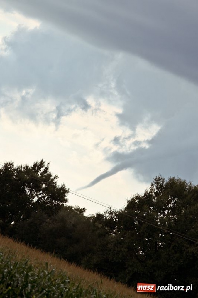 Zdjęcie w galerii na portalu naszraciborz.pl: Rzadko obserwowane zjawisko wiadomości z regionu