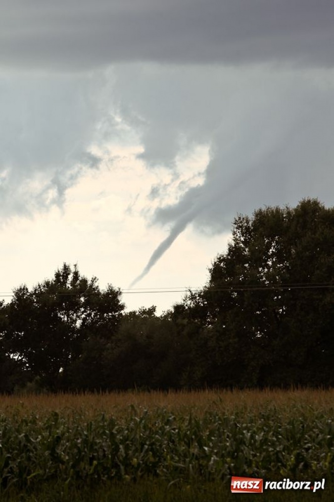 Zdjęcie w galerii na portalu naszraciborz.pl: Rzadko obserwowane zjawisko wiadomości z regionu