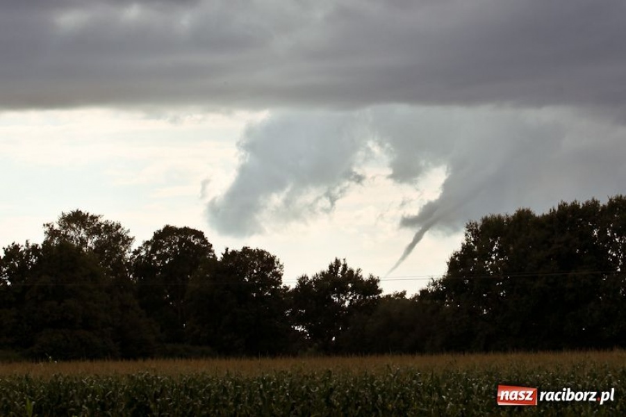 Zdjęcie w galerii na portalu naszraciborz.pl: Rzadko obserwowane zjawisko wiadomości z regionu