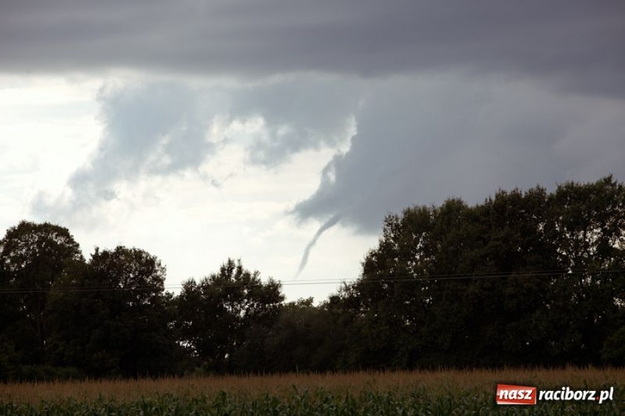 Zdjęcie w galerii na portalu naszraciborz.pl: Rzadko obserwowane zjawisko wiadomości z regionu