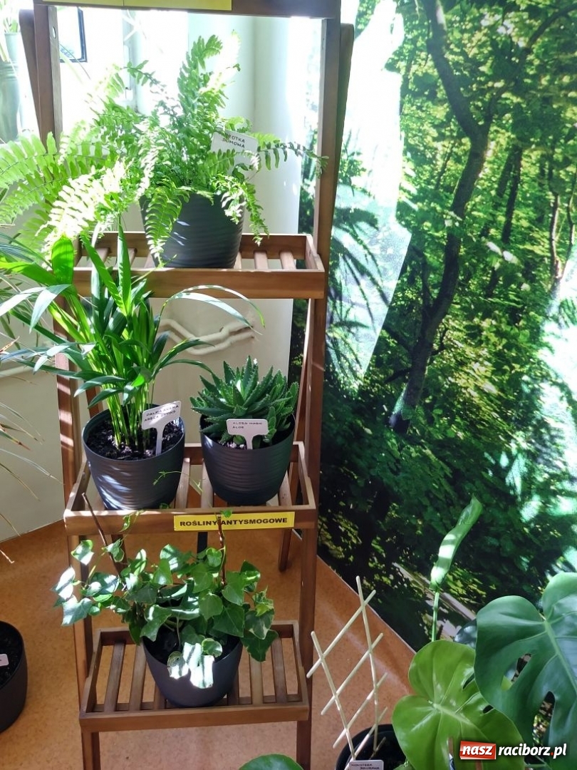 Zdjęcie w galerii na portalu naszraciborz.pl: W kuźniańskiej podstawówce powstała Zielona Pracownia wiadomości z regionu