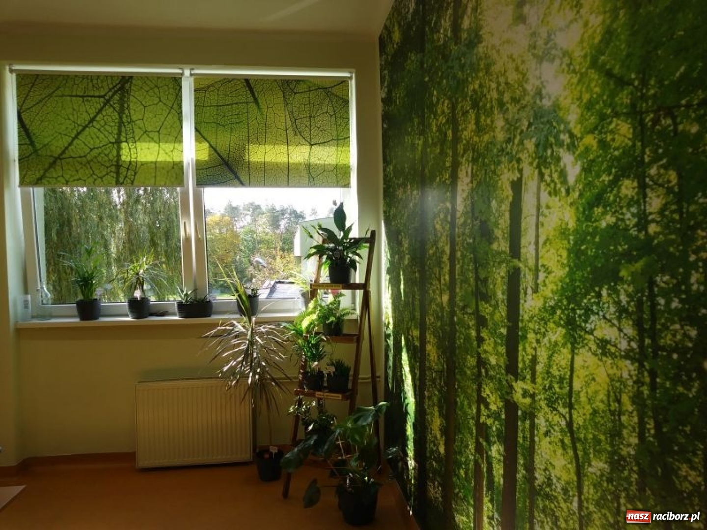 Zdjęcie w galerii na portalu naszraciborz.pl: W kuźniańskiej podstawówce powstała Zielona Pracownia wiadomości z regionu