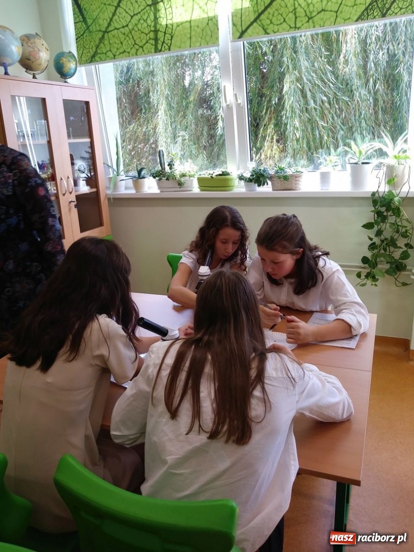 Zdjęcie w galerii na portalu naszraciborz.pl: W kuźniańskiej podstawówce powstała Zielona Pracownia wiadomości z regionu