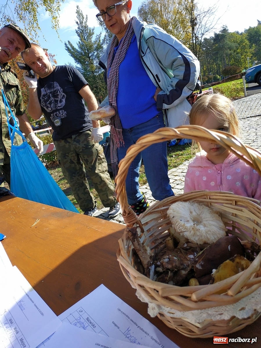Zdjęcie w galerii na portalu naszraciborz.pl: Poznaliśmy Najlepszego Grzybiarza Ziemi Raciborskiej wiadomości z regionu