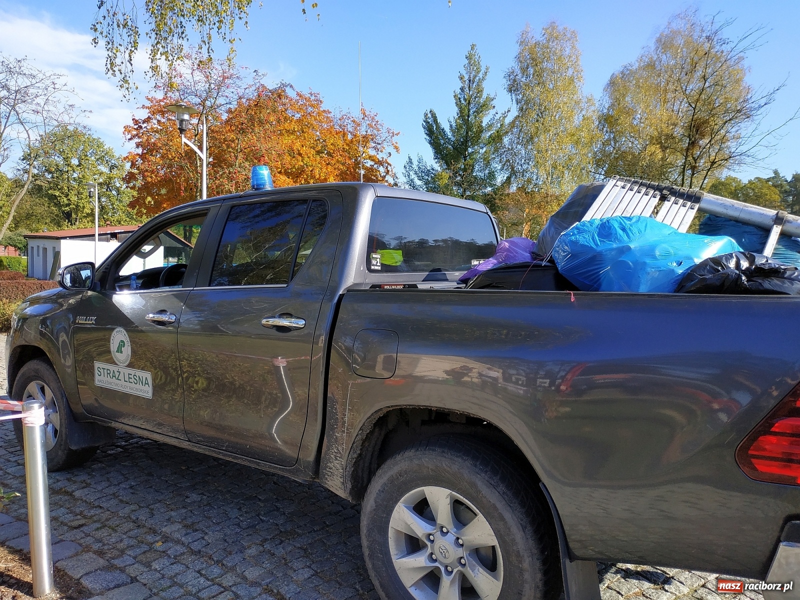 Zdjęcie w galerii na portalu naszraciborz.pl: Poznaliśmy Najlepszego Grzybiarza Ziemi Raciborskiej wiadomości z regionu