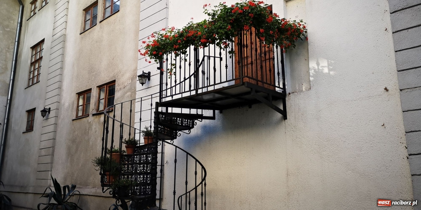 Zdjęcie w galerii na portalu naszraciborz.pl: Cieszyn ucieszył seniorów z gminy Krzanowice i Chuchelná  wiadomości z regionu