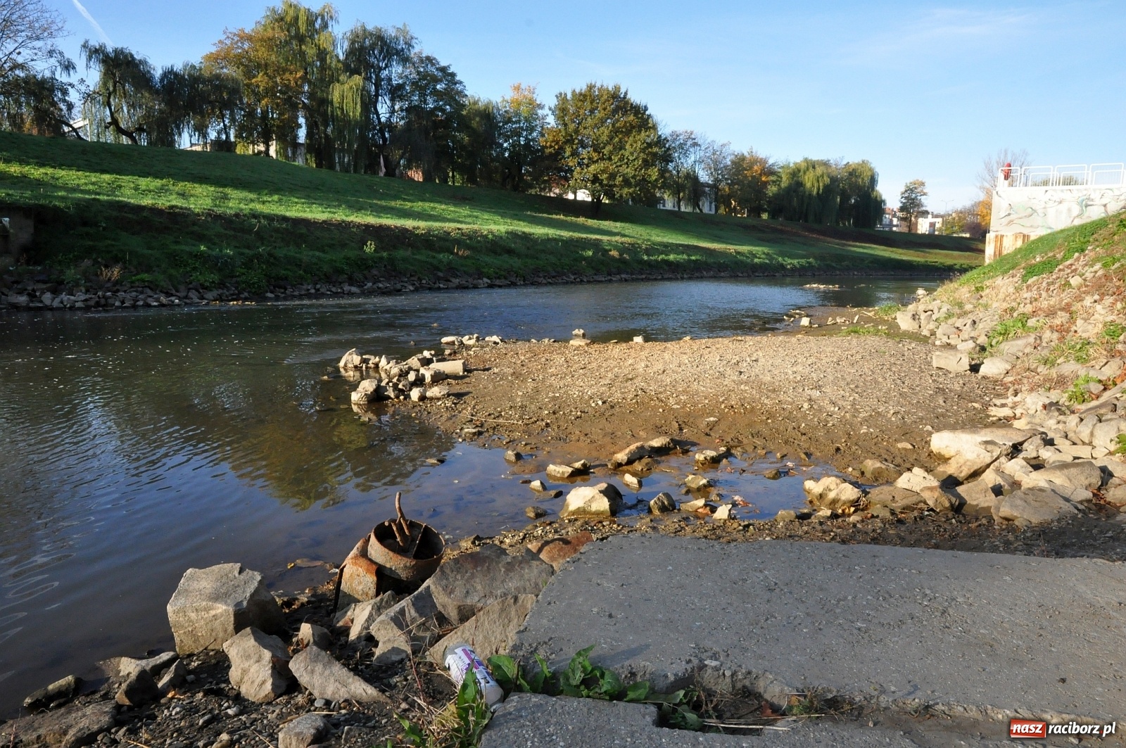 Zdjęcie w galerii na portalu naszraciborz.pl: Co zawiniło? Oficjalne stanowisko w sprawie niskiego stanu wody w Odrze miejskiej  wiadomości z regionu
