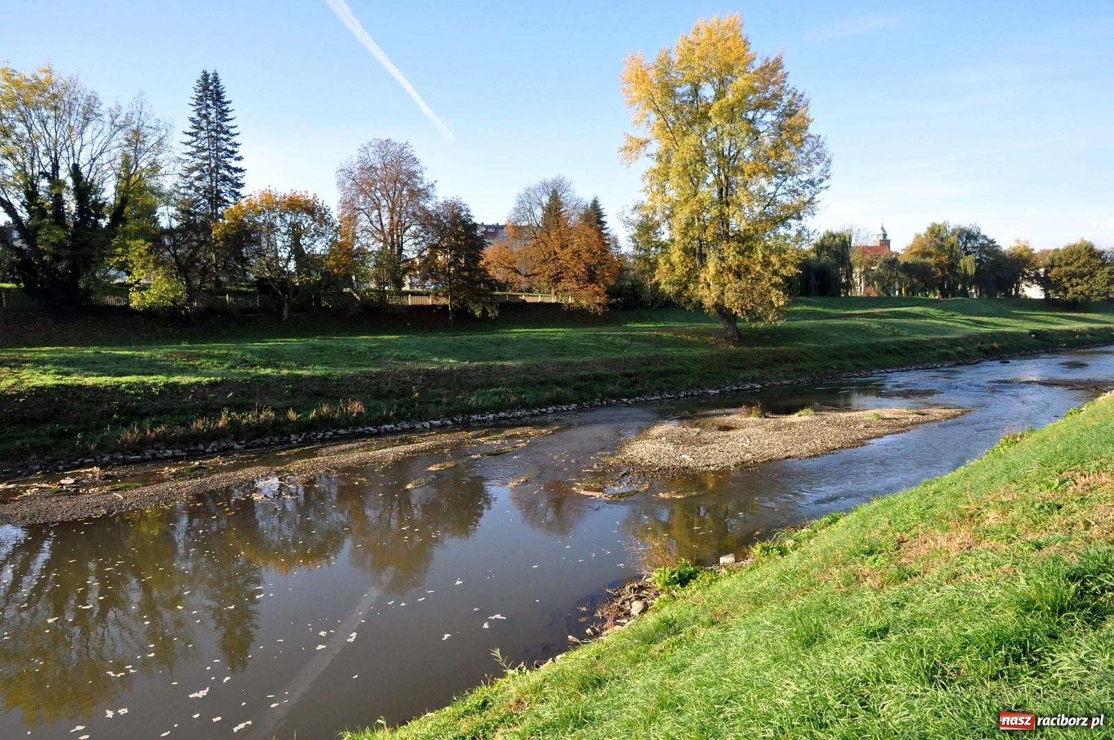 Zdjęcie w galerii na portalu naszraciborz.pl: Co zawiniło? Oficjalne stanowisko w sprawie niskiego stanu wody w Odrze miejskiej  wiadomości z regionu