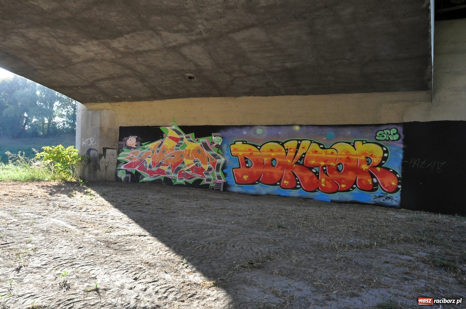 Zdjęcie w galerii na portalu naszraciborz.pl: Co zawiniło? Oficjalne stanowisko w sprawie niskiego stanu wody w Odrze miejskiej  wiadomości z regionu