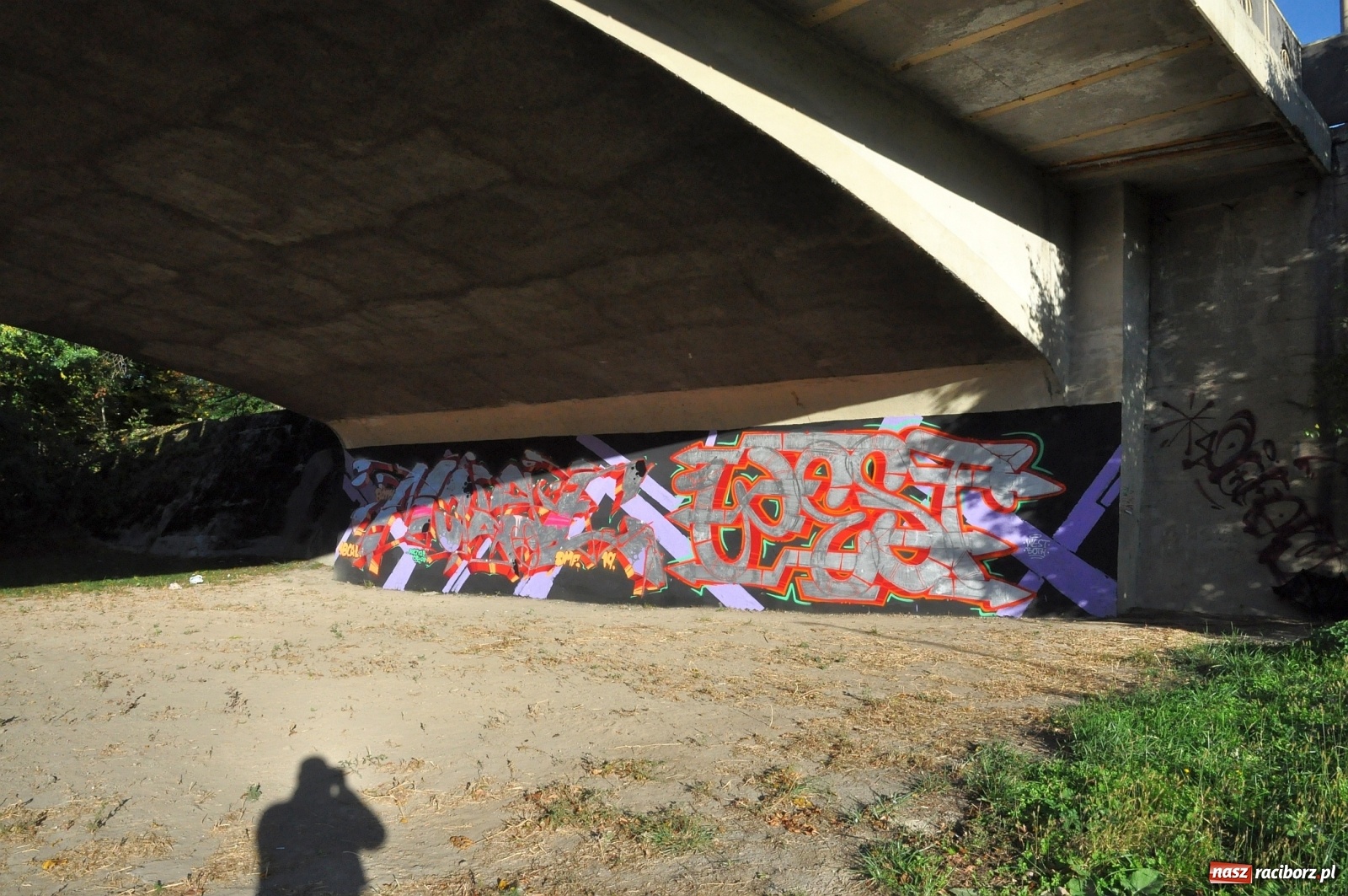 Zdjęcie w galerii na portalu naszraciborz.pl: Co zawiniło? Oficjalne stanowisko w sprawie niskiego stanu wody w Odrze miejskiej  wiadomości z regionu