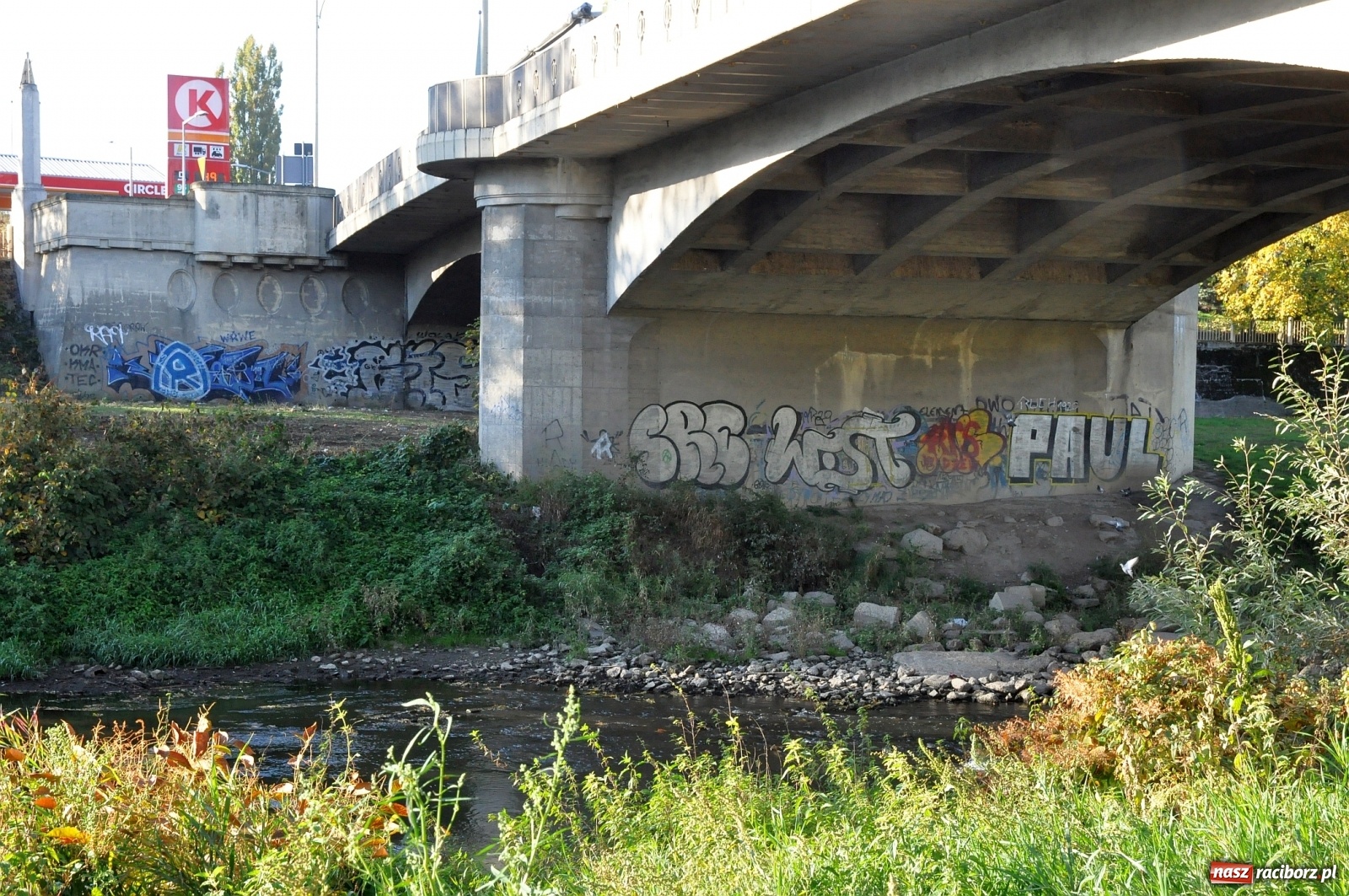 Zdjęcie w galerii na portalu naszraciborz.pl: Co zawiniło? Oficjalne stanowisko w sprawie niskiego stanu wody w Odrze miejskiej  wiadomości z regionu