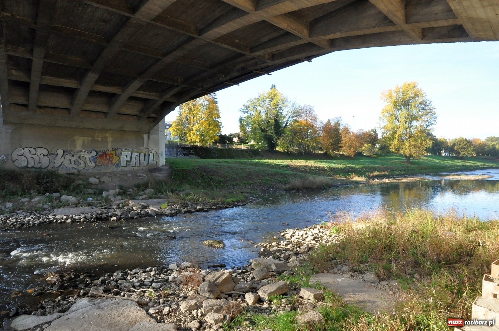 Zdjęcie w galerii na portalu naszraciborz.pl: Co zawiniło? Oficjalne stanowisko w sprawie niskiego stanu wody w Odrze miejskiej  wiadomości z regionu
