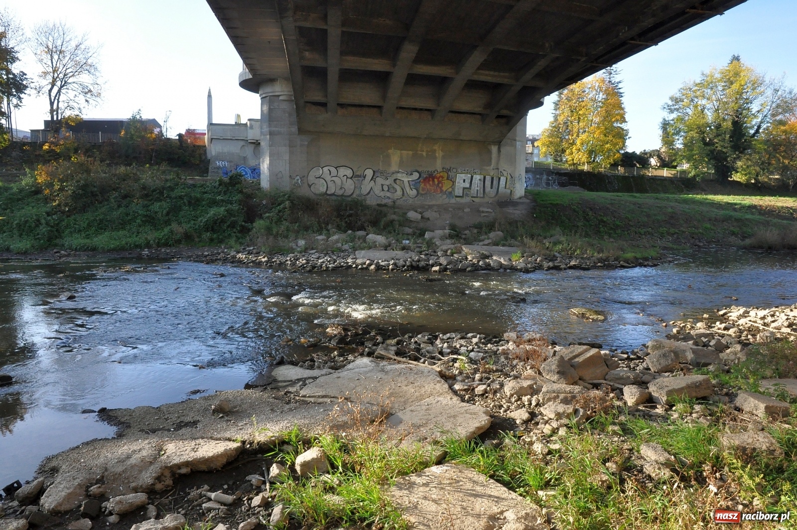 Zdjęcie w galerii na portalu naszraciborz.pl: Co zawiniło? Oficjalne stanowisko w sprawie niskiego stanu wody w Odrze miejskiej  wiadomości z regionu