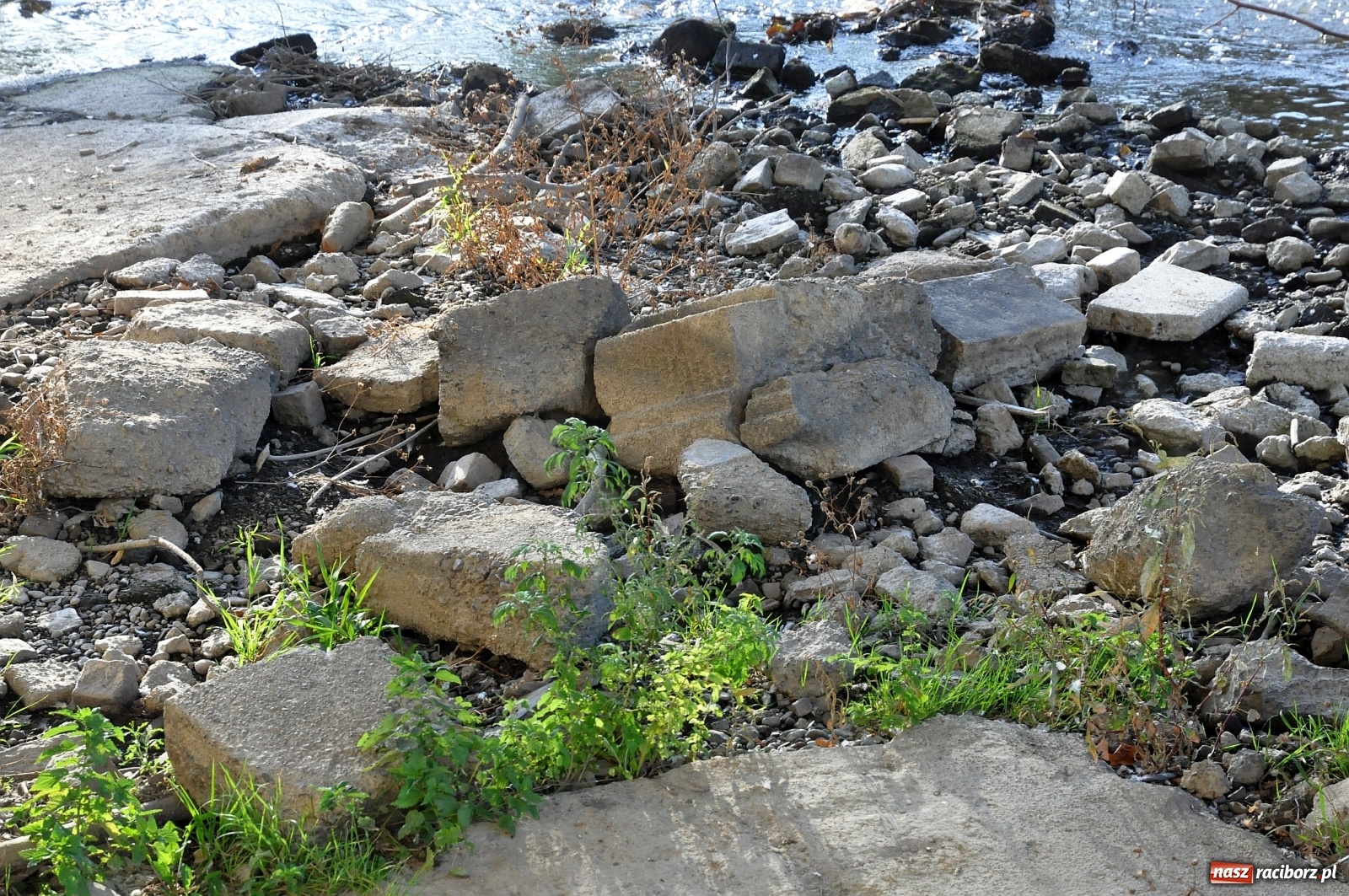 Zdjęcie w galerii na portalu naszraciborz.pl: Co zawiniło? Oficjalne stanowisko w sprawie niskiego stanu wody w Odrze miejskiej  wiadomości z regionu