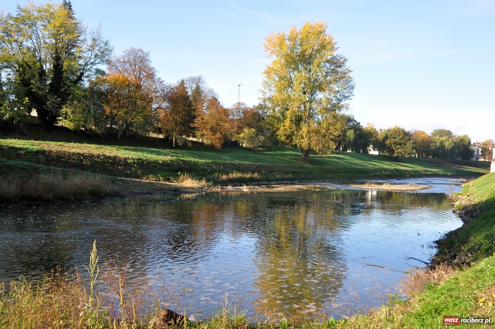 Zdjęcie w galerii na portalu naszraciborz.pl: Co zawiniło? Oficjalne stanowisko w sprawie niskiego stanu wody w Odrze miejskiej  wiadomości z regionu