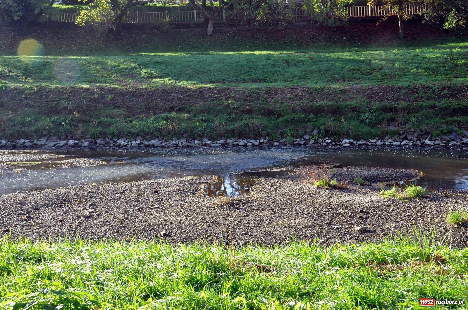 Zdjęcie w galerii na portalu naszraciborz.pl: Co zawiniło? Oficjalne stanowisko w sprawie niskiego stanu wody w Odrze miejskiej  wiadomości z regionu