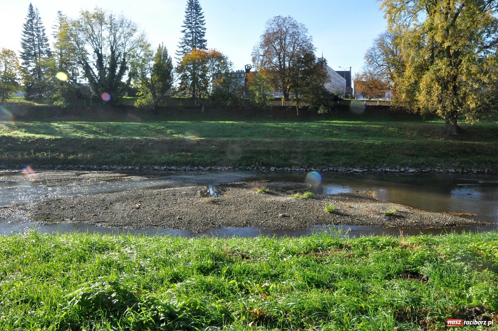 Zdjęcie w galerii na portalu naszraciborz.pl: Co zawiniło? Oficjalne stanowisko w sprawie niskiego stanu wody w Odrze miejskiej  wiadomości z regionu