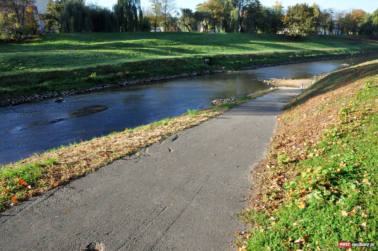 Zdjęcie w galerii na portalu naszraciborz.pl: Co zawiniło? Oficjalne stanowisko w sprawie niskiego stanu wody w Odrze miejskiej  wiadomości z regionu