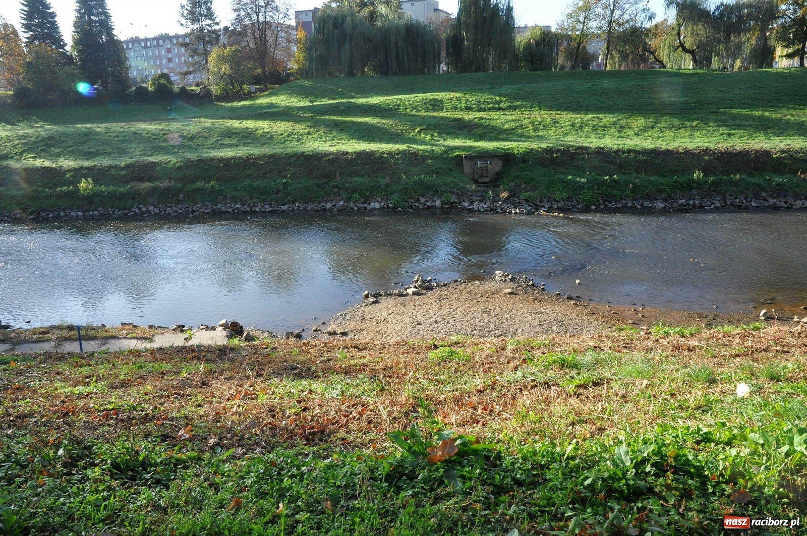 Zdjęcie w galerii na portalu naszraciborz.pl: Co zawiniło? Oficjalne stanowisko w sprawie niskiego stanu wody w Odrze miejskiej  wiadomości z regionu