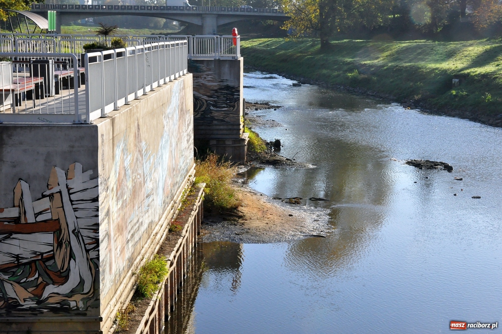 Zdjęcie w galerii na portalu naszraciborz.pl: Co zawiniło? Oficjalne stanowisko w sprawie niskiego stanu wody w Odrze miejskiej  wiadomości z regionu