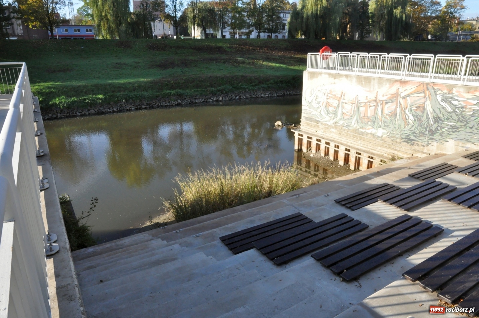 Zdjęcie w galerii na portalu naszraciborz.pl: Co zawiniło? Oficjalne stanowisko w sprawie niskiego stanu wody w Odrze miejskiej  wiadomości z regionu