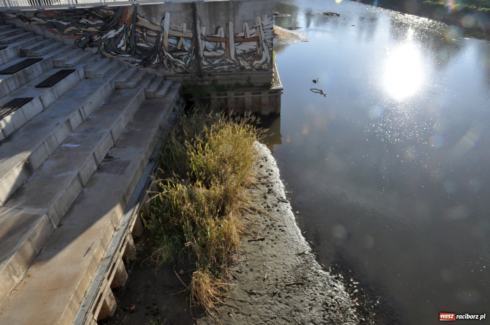Zdjęcie w galerii na portalu naszraciborz.pl: Co zawiniło? Oficjalne stanowisko w sprawie niskiego stanu wody w Odrze miejskiej  wiadomości z regionu