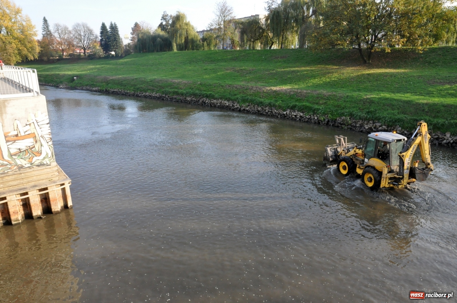 Zdjęcie w galerii na portalu naszraciborz.pl: Co zawiniło? Oficjalne stanowisko w sprawie niskiego stanu wody w Odrze miejskiej  wiadomości z regionu
