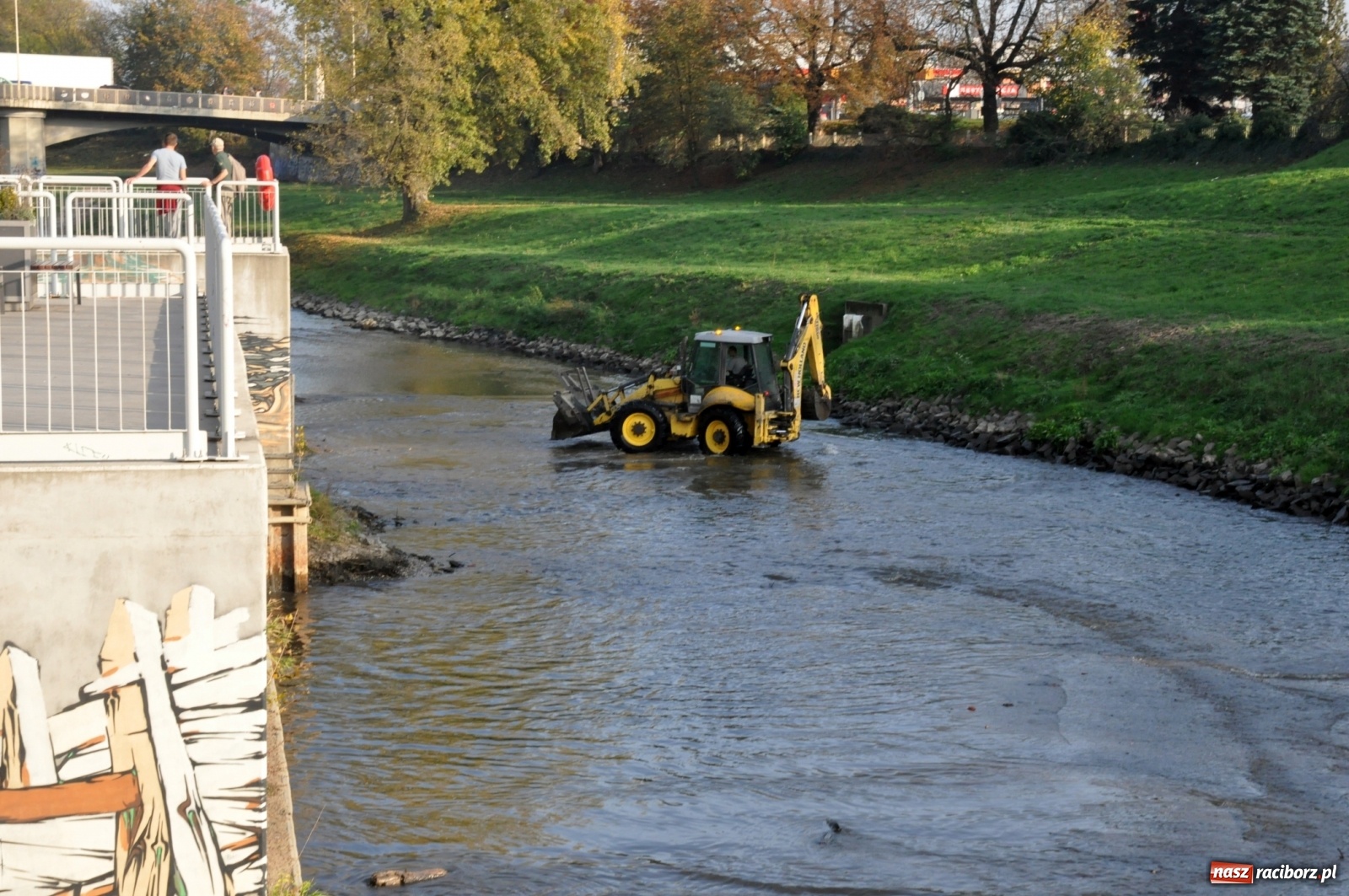 Zdjęcie w galerii na portalu naszraciborz.pl: Co zawiniło? Oficjalne stanowisko w sprawie niskiego stanu wody w Odrze miejskiej  wiadomości z regionu