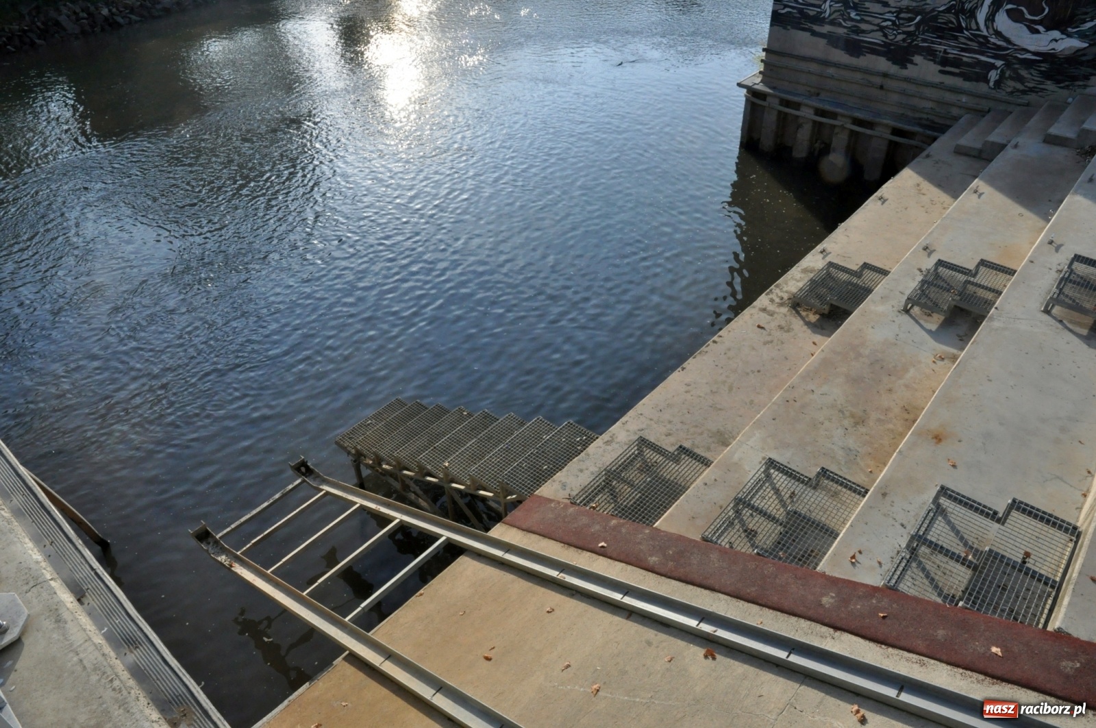 Zdjęcie w galerii na portalu naszraciborz.pl: Co zawiniło? Oficjalne stanowisko w sprawie niskiego stanu wody w Odrze miejskiej  wiadomości z regionu