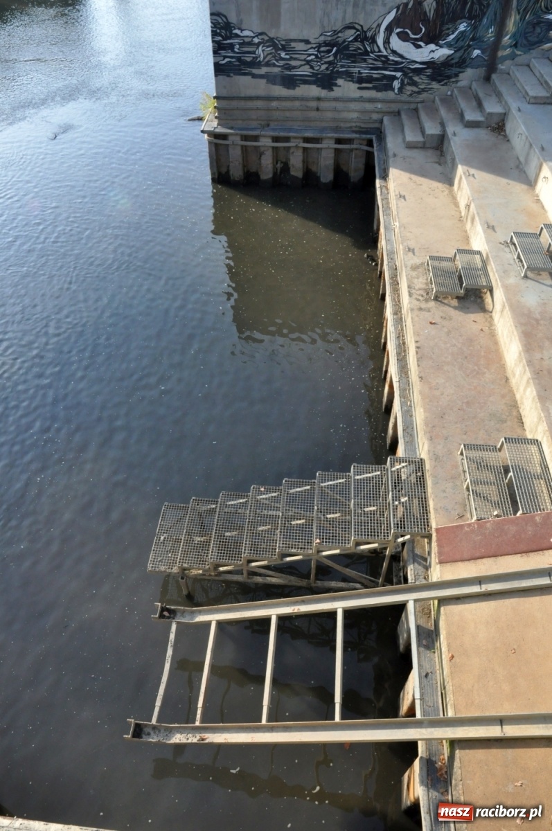Zdjęcie w galerii na portalu naszraciborz.pl: Co zawiniło? Oficjalne stanowisko w sprawie niskiego stanu wody w Odrze miejskiej  wiadomości z regionu