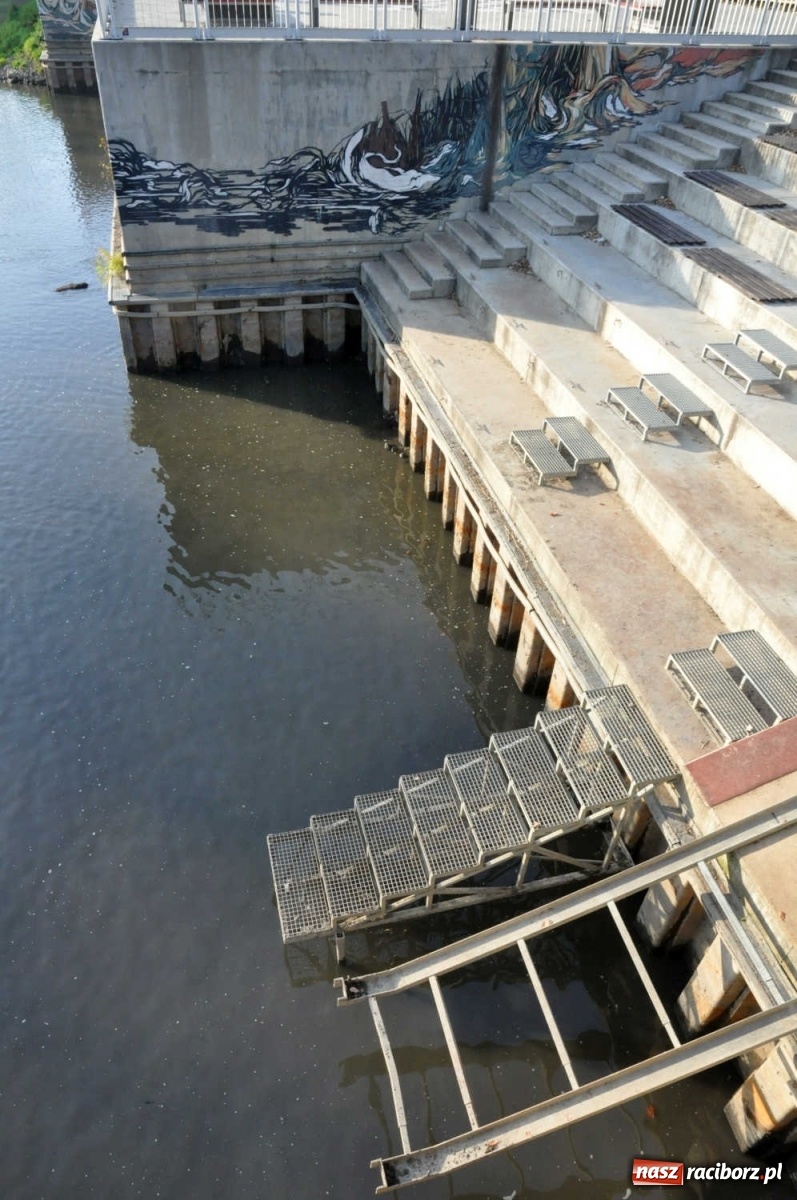 Zdjęcie w galerii na portalu naszraciborz.pl: Co zawiniło? Oficjalne stanowisko w sprawie niskiego stanu wody w Odrze miejskiej  wiadomości z regionu
