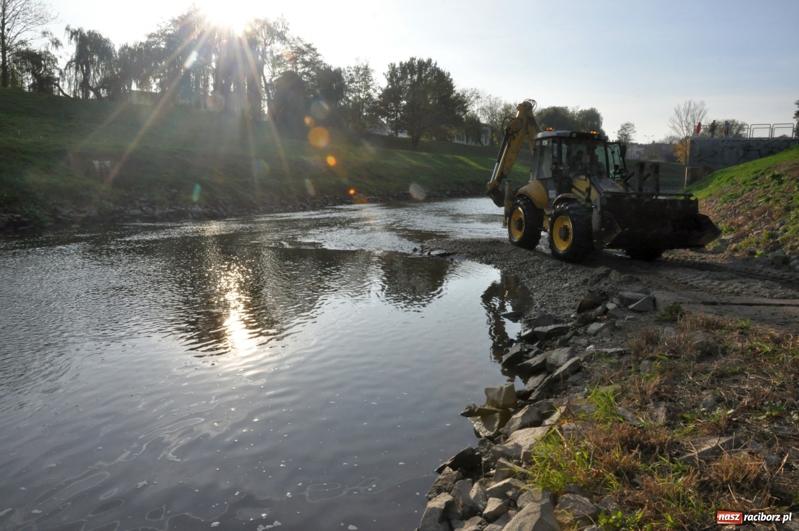Zdjęcie w galerii na portalu naszraciborz.pl: Co zawiniło? Oficjalne stanowisko w sprawie niskiego stanu wody w Odrze miejskiej  wiadomości z regionu