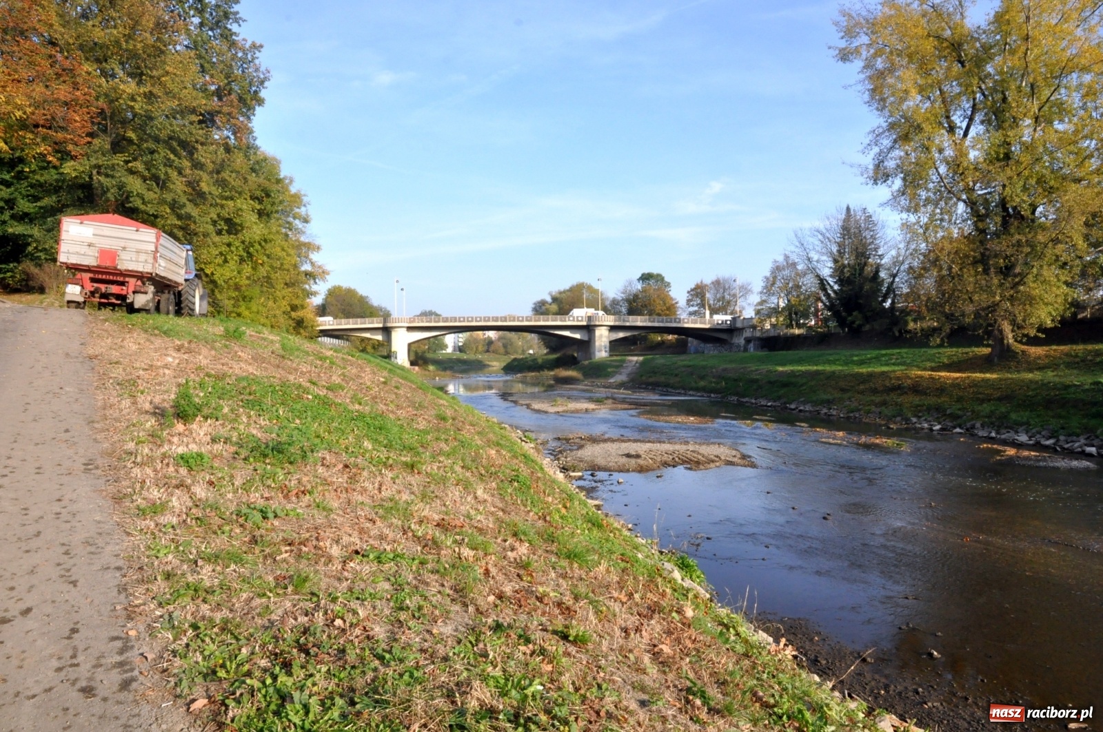 Zdjęcie w galerii na portalu naszraciborz.pl: Co zawiniło? Oficjalne stanowisko w sprawie niskiego stanu wody w Odrze miejskiej  wiadomości z regionu