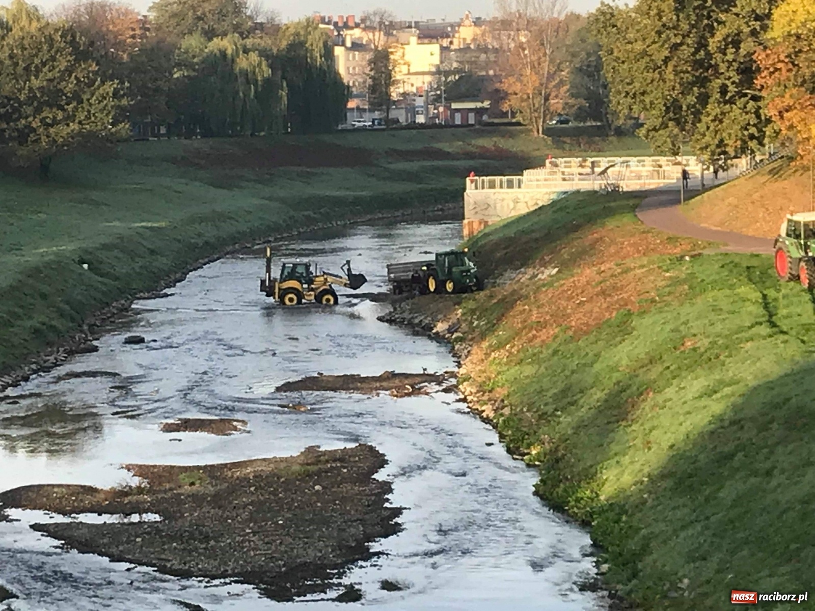Zdjęcie w galerii na portalu naszraciborz.pl: Co zawiniło? Oficjalne stanowisko w sprawie niskiego stanu wody w Odrze miejskiej  wiadomości z regionu