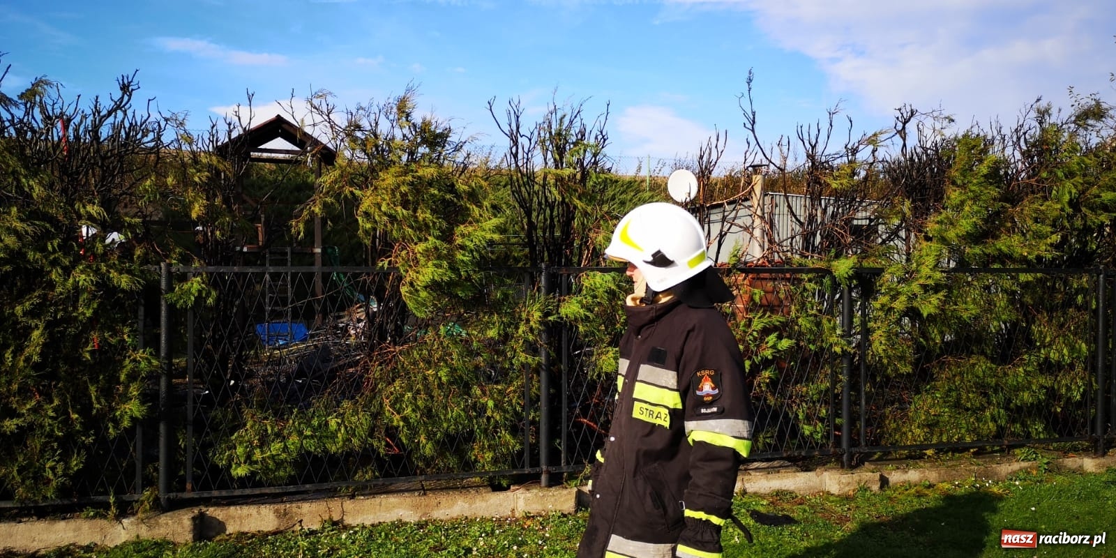 Zdjęcie w galerii na portalu naszraciborz.pl: Pożar w Krzanowicach. Spłonęła doszczętnie altana [FOTO i WIDEO] wiadomości z regionu
