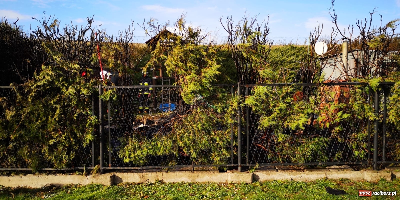 Zdjęcie w galerii na portalu naszraciborz.pl: Pożar w Krzanowicach. Spłonęła doszczętnie altana [FOTO i WIDEO] wiadomości z regionu
