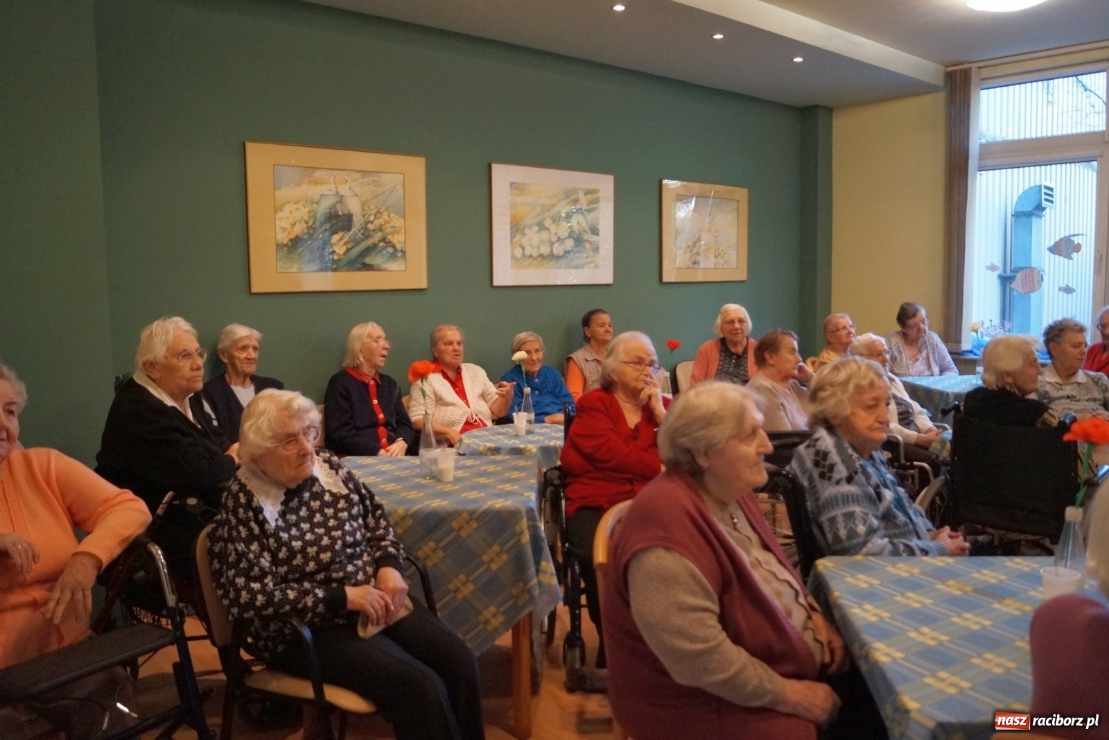 Zdjęcie w galerii na portalu naszraciborz.pl: Na Wielkiej Rafie Koralowej w Złotej Jesieni  wiadomości z regionu