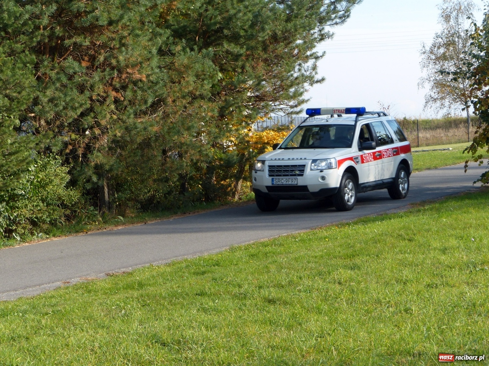 Zdjęcie w galerii na portalu naszraciborz.pl: Ponad dwudziestu strażaków poszukiwało dziś dwóch rannych grzybiarzy  wiadomości z regionu
