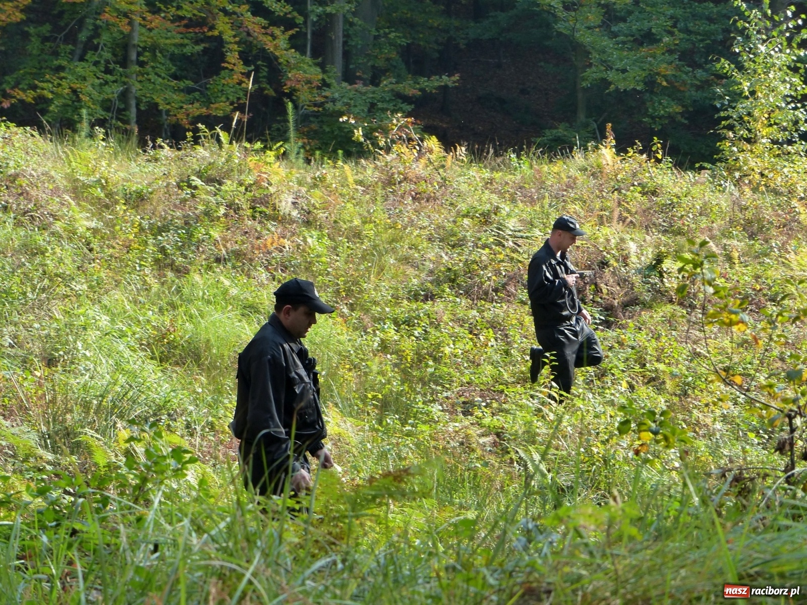Zdjęcie w galerii na portalu naszraciborz.pl: Ponad dwudziestu strażaków poszukiwało dziś dwóch rannych grzybiarzy  wiadomości z regionu