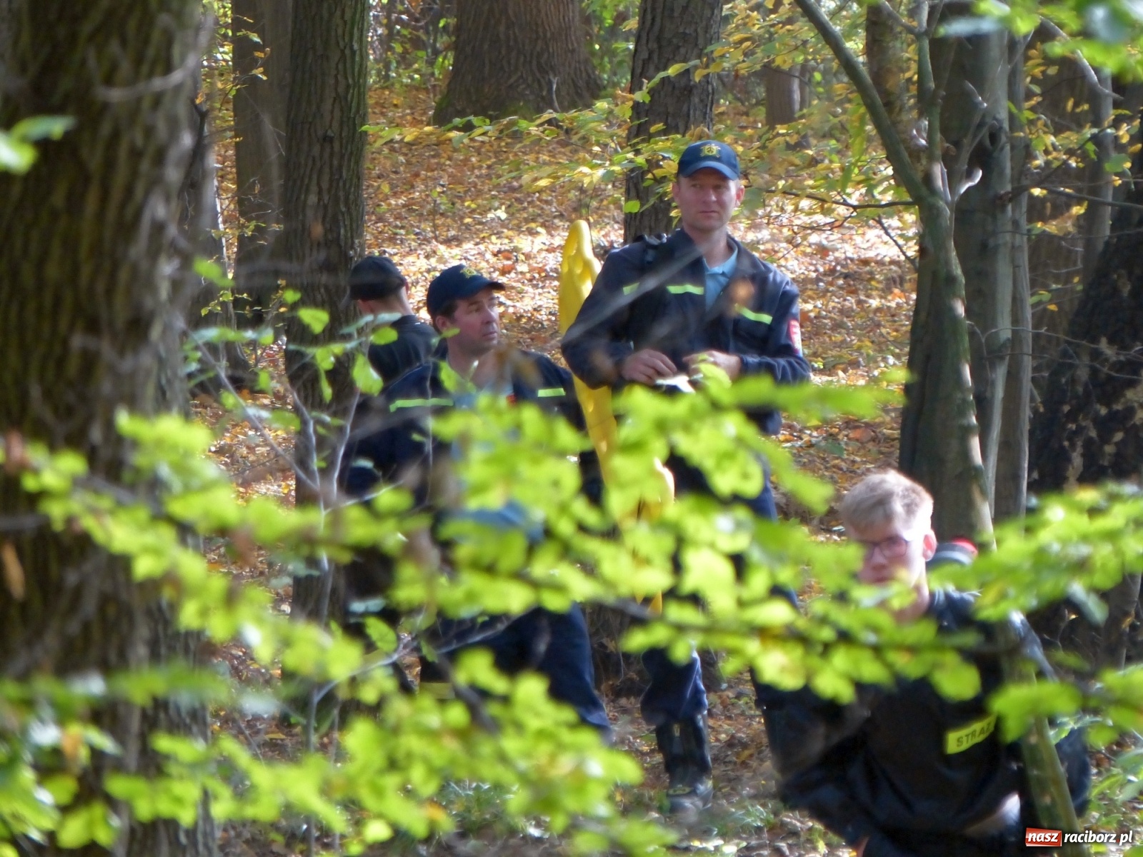 Zdjęcie w galerii na portalu naszraciborz.pl: Ponad dwudziestu strażaków poszukiwało dziś dwóch rannych grzybiarzy  wiadomości z regionu