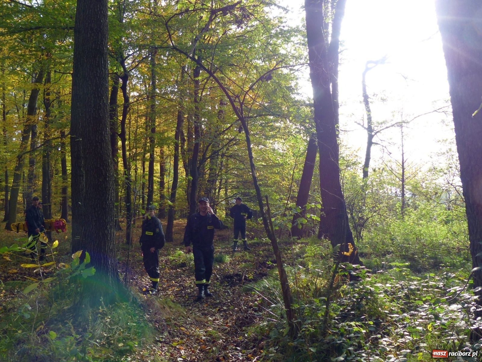 Zdjęcie w galerii na portalu naszraciborz.pl: Ponad dwudziestu strażaków poszukiwało dziś dwóch rannych grzybiarzy  wiadomości z regionu