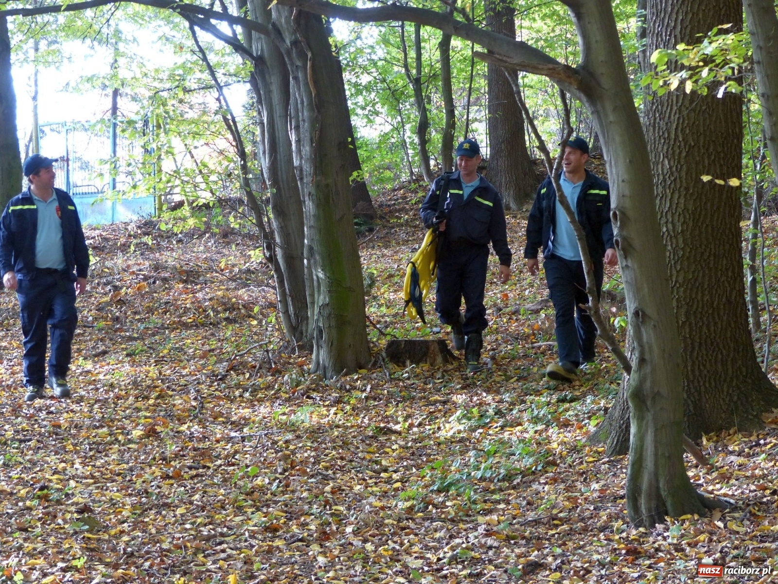 Zdjęcie w galerii na portalu naszraciborz.pl: Ponad dwudziestu strażaków poszukiwało dziś dwóch rannych grzybiarzy  wiadomości z regionu