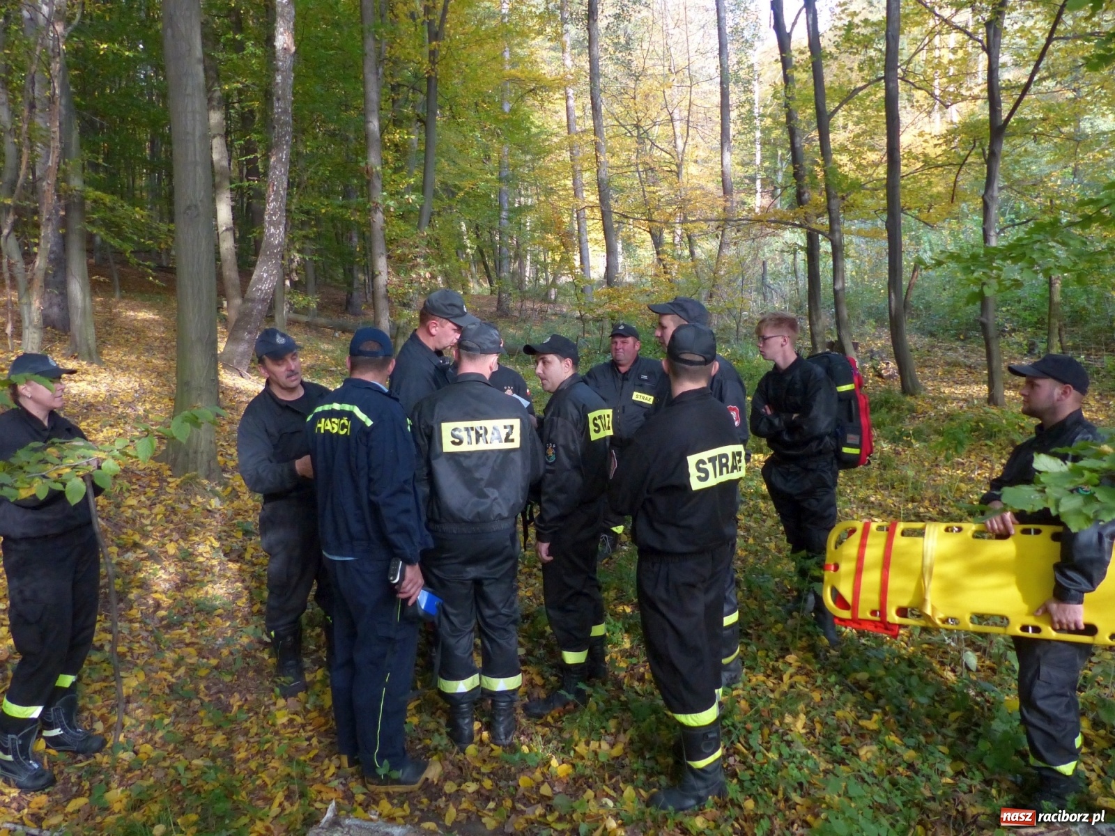 Zdjęcie w galerii na portalu naszraciborz.pl: Ponad dwudziestu strażaków poszukiwało dziś dwóch rannych grzybiarzy  wiadomości z regionu