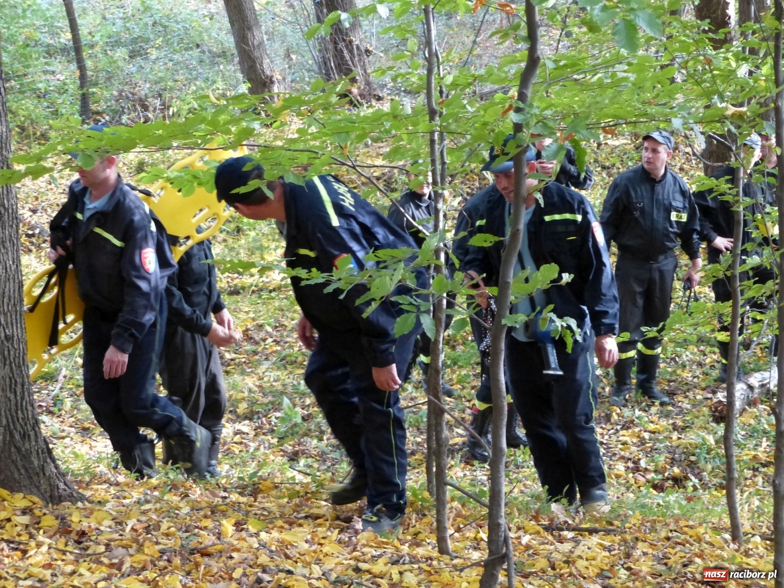Zdjęcie w galerii na portalu naszraciborz.pl: Ponad dwudziestu strażaków poszukiwało dziś dwóch rannych grzybiarzy  wiadomości z regionu