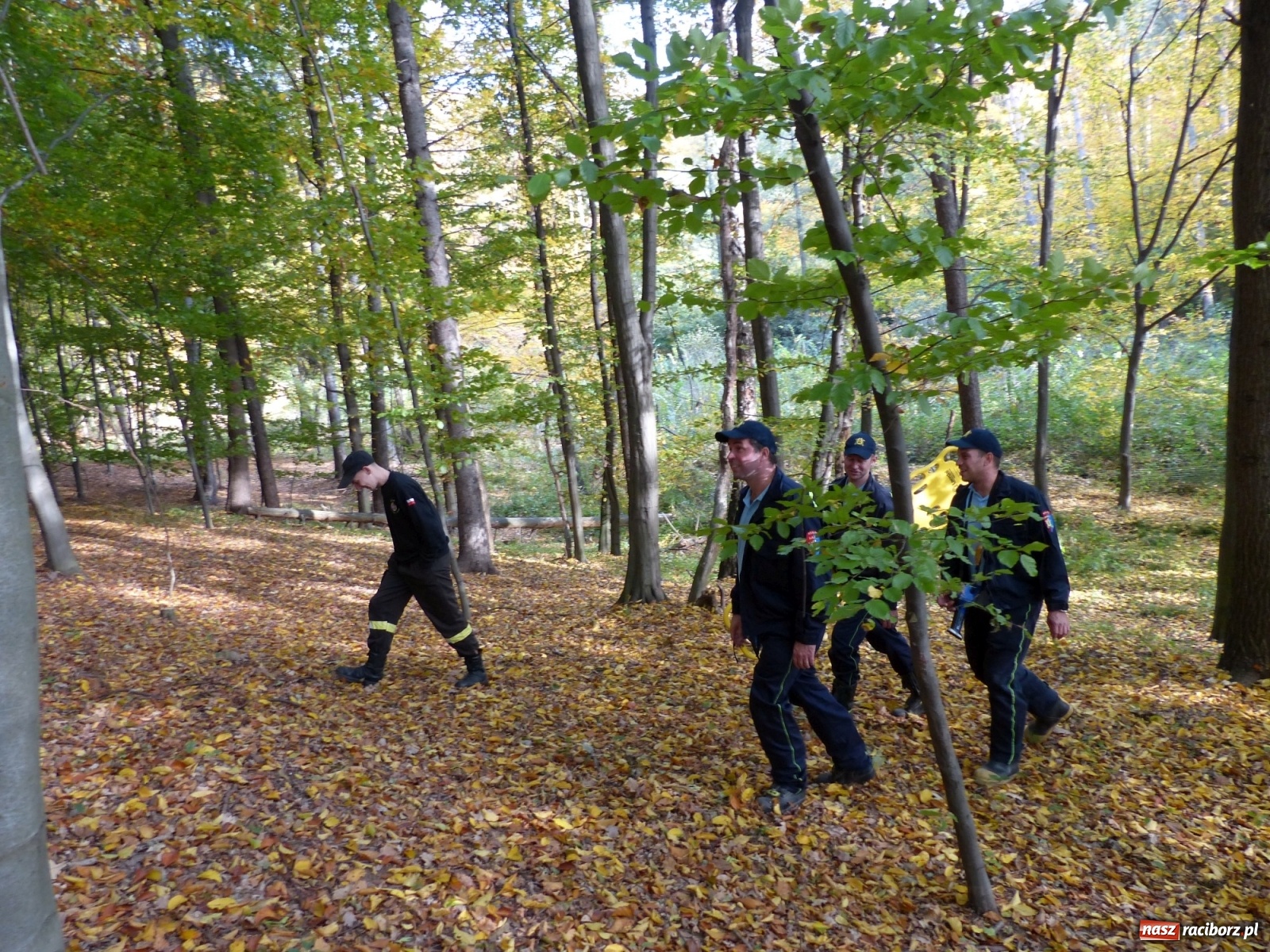 Zdjęcie w galerii na portalu naszraciborz.pl: Ponad dwudziestu strażaków poszukiwało dziś dwóch rannych grzybiarzy  wiadomości z regionu