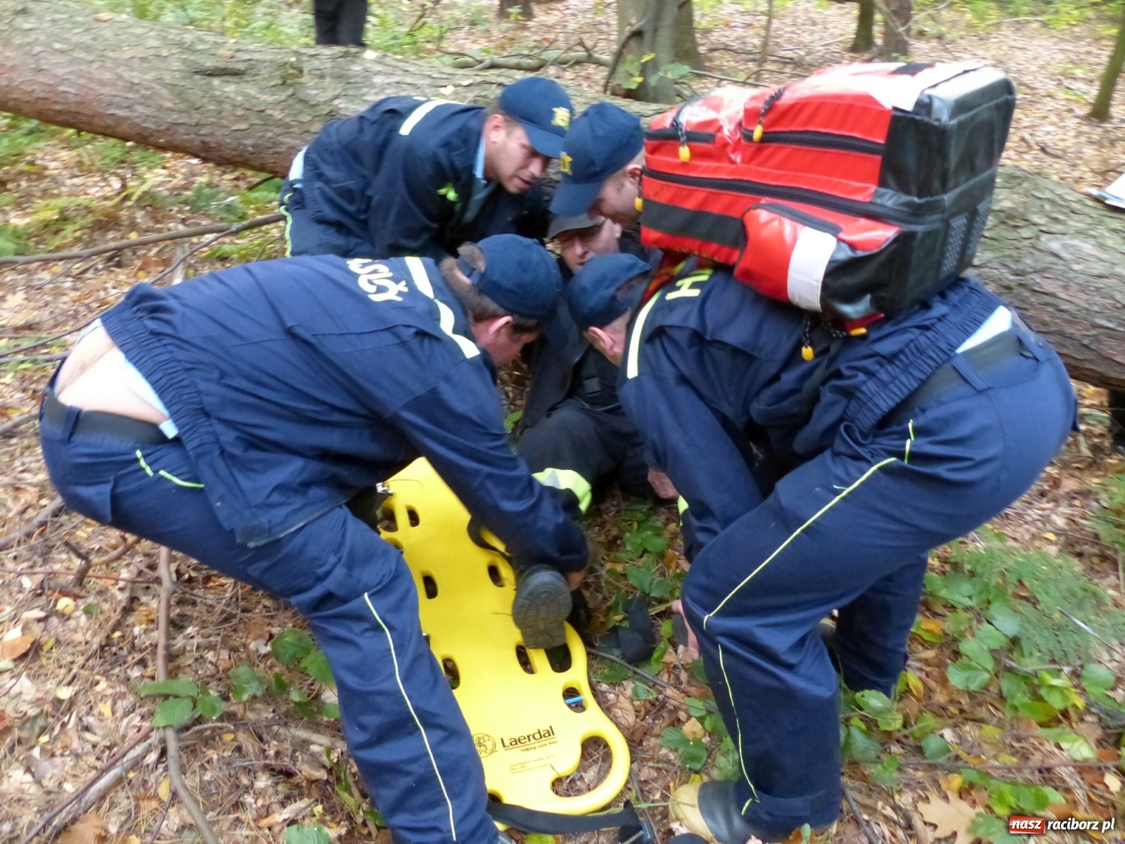 Zdjęcie w galerii na portalu naszraciborz.pl: Ponad dwudziestu strażaków poszukiwało dziś dwóch rannych grzybiarzy  wiadomości z regionu