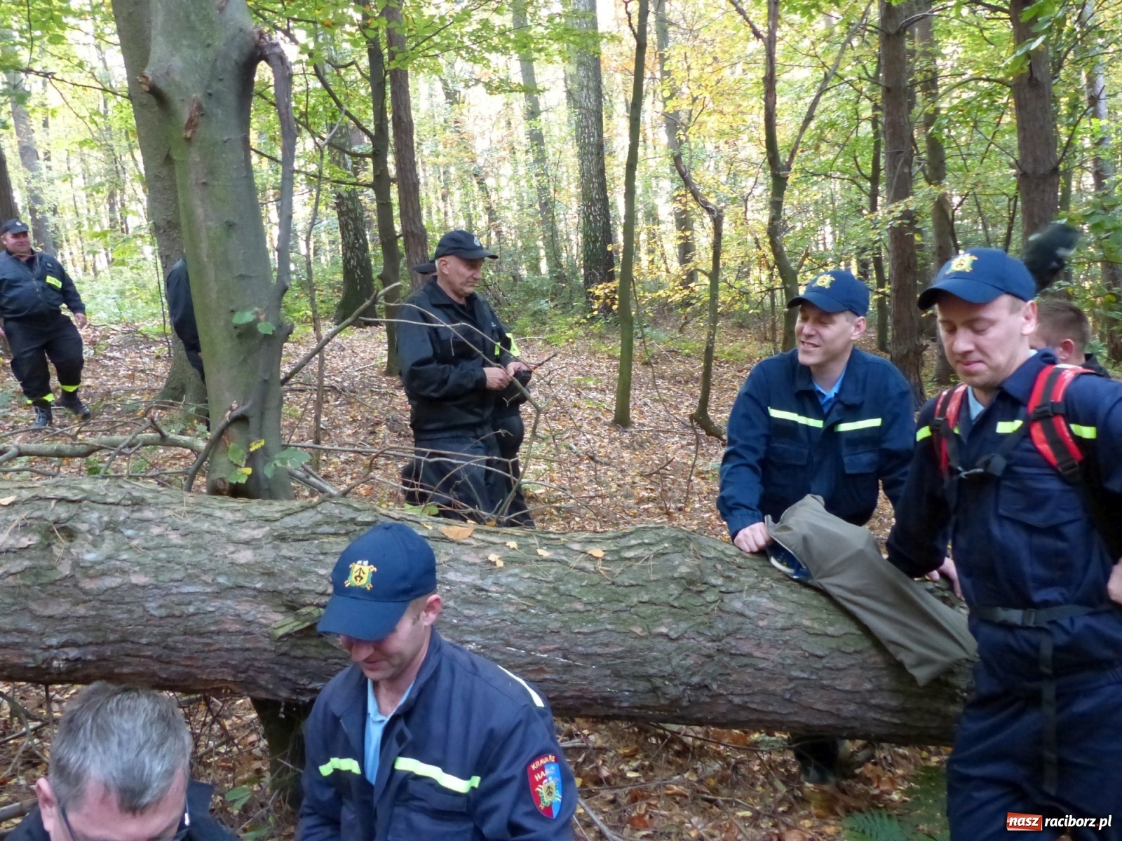 Zdjęcie w galerii na portalu naszraciborz.pl: Ponad dwudziestu strażaków poszukiwało dziś dwóch rannych grzybiarzy  wiadomości z regionu